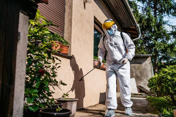 Best Insect Control  in Marthasville, MO