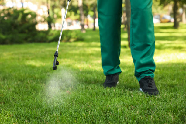 Best Pest Removal Services  in Marthasville, MO