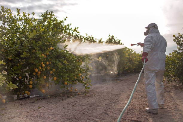 Best Emergency Pest Control  in Marthasville, MO