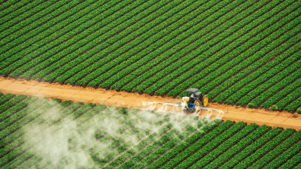 Best Termite Control Services  in Marthasville, MO
