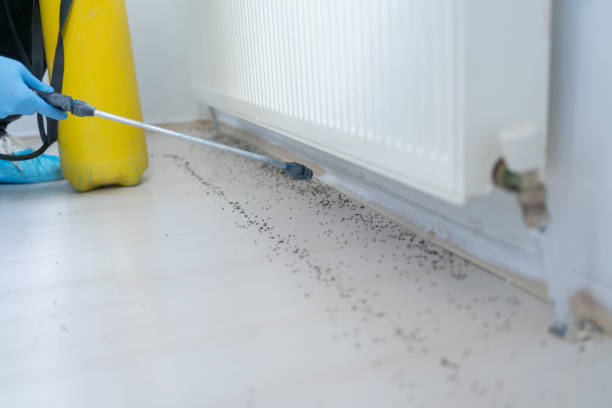Best Pest Control Near Me in Marthasville, MO